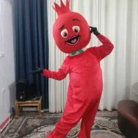 اجاره تنپوش عروسکی تولد،کرومی،لبوبوشعبده باز|خدمات پذیرایی، مراسم|شیراز, زند|دیوار