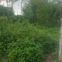 سلام-وعرض-ادب-400مترزمین-مسکونی-دارای-پروانه-ساخت