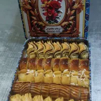 کارگر ساده خانم