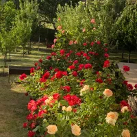 باغ-ویلا-جنب-جاده-طالقان-نبش-شهرک