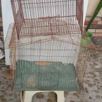 دوتا قفس متوسط