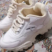 فروش 2 جفت کفش نو|کیف، کفش، کمربند|شیراز, شهرک نیروی انتظامی|دیوار