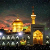داوطلب