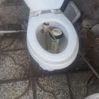 بهداشتی