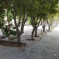 باغ ویلا دور همی|اجارهٔ کوتاه‌مدت ویلا و باغ|مشهد, میان ولایت|دیوار