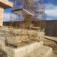 تعدادی قفس،،قناری سهره مرغ عشق ،،عروس وطوطی|لوازم جانبی حیوانات|شیراز, بید زرد|دیوار