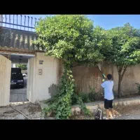 راپلکار (کار در ارتفاع) نیروی ساختمانی|استخدام معماری، عمران و ساختمانی|تهران, ونک|دیوار