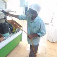 سمپاشی موریانه سم پاشی سوسک