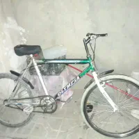 ۲۶المپیا