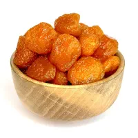 خشکبار فرزاد