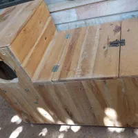 لانه طوطی‌سان سایز بزرگ