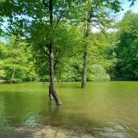 اجاره خانه،ویلا وسوئیت روستای چورت دریاچه میانشه|اجارهٔ کوتاهمدت ویلا و باغ|کیاسر, |دیوار