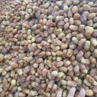 فروش محصولات جنوب|خوردنی و آشامیدنی|تهران, آرارات|دیوار