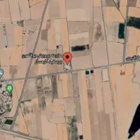 جوجه بوقلمون/بیوتی و هیبرید/یکروزه/یکماهه/گوشتی|حیوانات مزرعه|مشهد, بهشت|دیوار