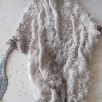 خیگ تمیز وخوش بو