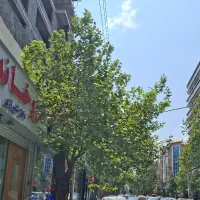 تجاری-75-متری-براصلی-گرگانپارس-دید-عالی