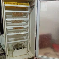 دستگاه جوجه کشی ۱۰۰۸تایی مشهدبرق|لوازم جانبی حیوانات|مشهد, گرجی علیا|دیوار