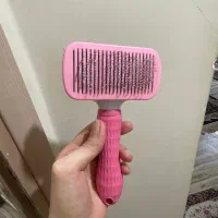 ملزومات گربه|گربه|ارومیه, |دیوار