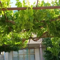 فروش خانه ویلایی