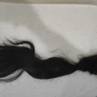مو سالم