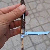 بهروز نظم پرور
