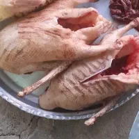 یک عدد قاز محلی