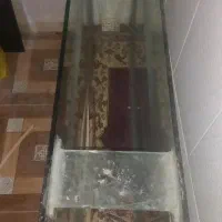 آکوریوم|ماهی|دزفول, |دیوار