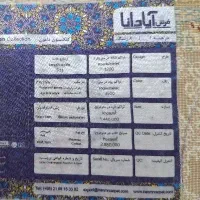 پادری نو گل برجسته|پادری|تهران, توحید|دیوار