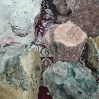 سلام سنگهای تزیینی متنوع