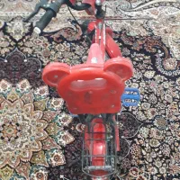 دوچرخه ۱۲|دوچرخه، اسکیت، اسکوتر|باغستان, |دیوار