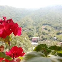 ویلا سوئیت اجاره‌ای روستای خلیندره