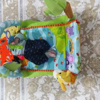 تشک بازی نو نو مارک خارجی اسمارت