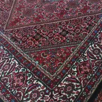 قالیچه زنجان|فرش|میانه, |دیوار