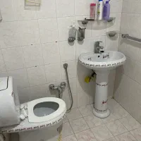 ۲عدد روشونی و فرنگی