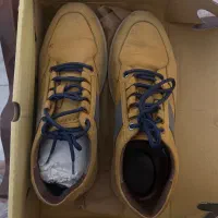 کفش مردانه بادی اسپینر