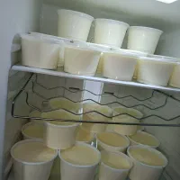 ماست محلی و شیر محلی