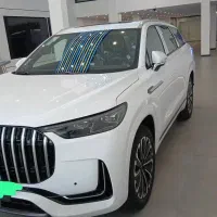 لوکانو L8 تحویل فوری پلاک