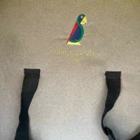کالسکه و کرییر پیرکاردین|کالسکه و لوازم جانبی|آبیک, |دیوار