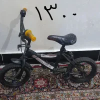 پایه گلدان|گل و گیاه طبیعی|تایباد, |دیوار