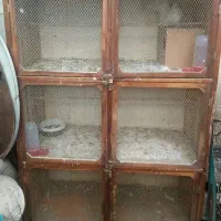 قفس بزرگ (جفت کن)