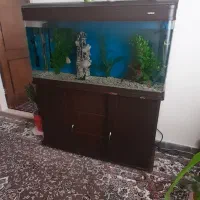 اکواریوم شرکتی ماهیران ۱۲۰