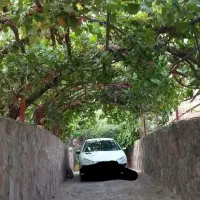 زمین بوستان جوان