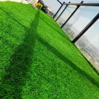 فروش بی واسطه و مشاوره تخصصی چمن (مصنوعی)|مصالح و تجهیزات ساختمان|ری, دیلمان|دیوار