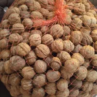 فروش گردو450چهارصد وپنچ هزارتومان|عمده‌فروشی|اهواز, زیتون کارمندی|دیوار