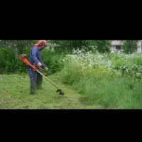 علف زنی با دستگاه