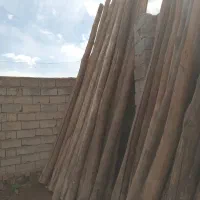 فروش قره آغاج  (ره ش دار)