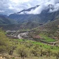 مالم گرک له مریوان