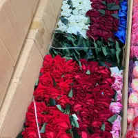 پخش گل ایلیا|گل مصنوعی|هرسین, |دیوار