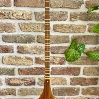 سه تار|سازهای سنتی|تهران, میدان ولیعصر|دیوار