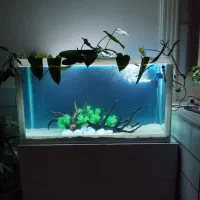 اکواریم ابزیان